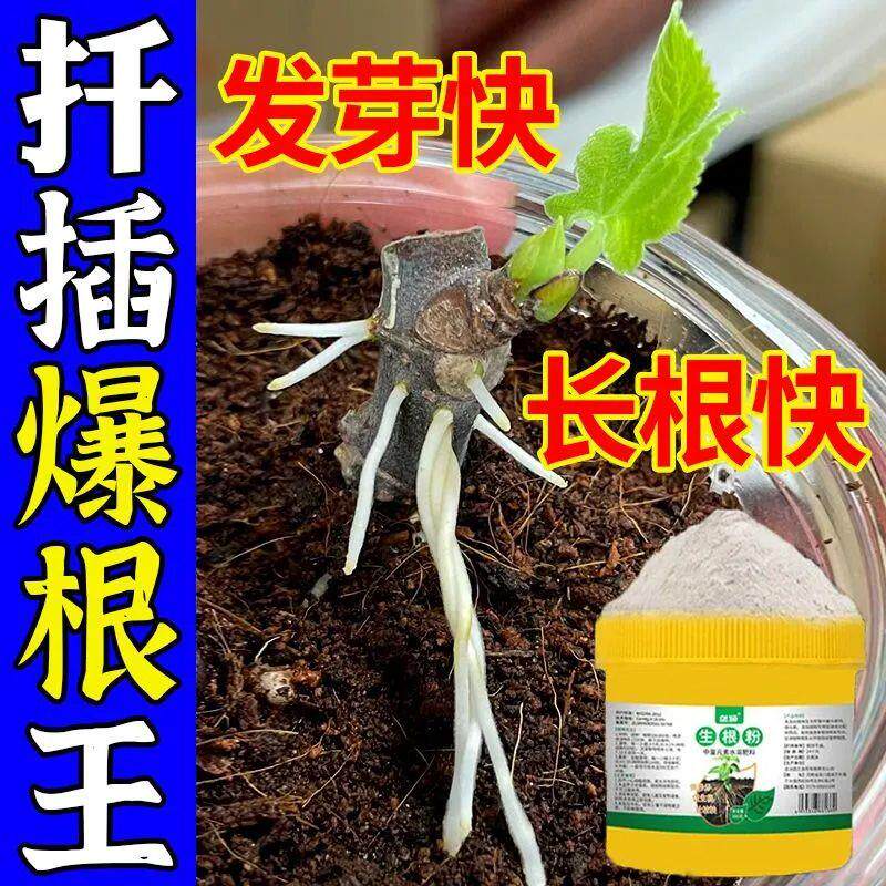 生根剂壮苗发根生根水溶粉植物扦插快速花卉壮苗盆栽移栽生根专用