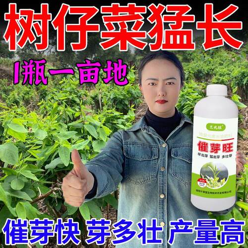 树仔菜专用增产肥早熟根系发达