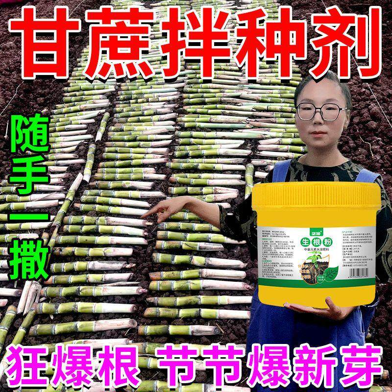 甘蔗生根芽壮苗拌种剂