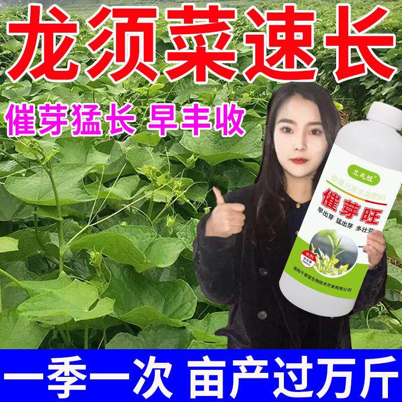 龙须菜爆发式生根猛生根壮苗剂催芽增产肥料生根粉蔬菜农用叶面肥