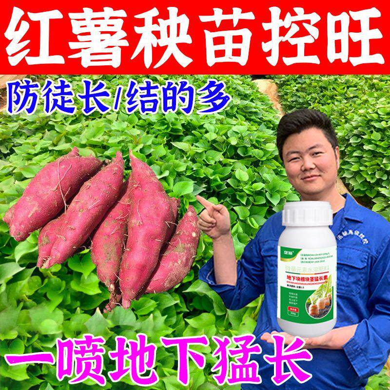 红薯控旺膨大增产剂防裂高产