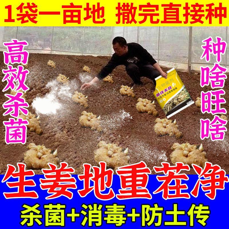 生姜地连作抗重茬杀菌菌肥