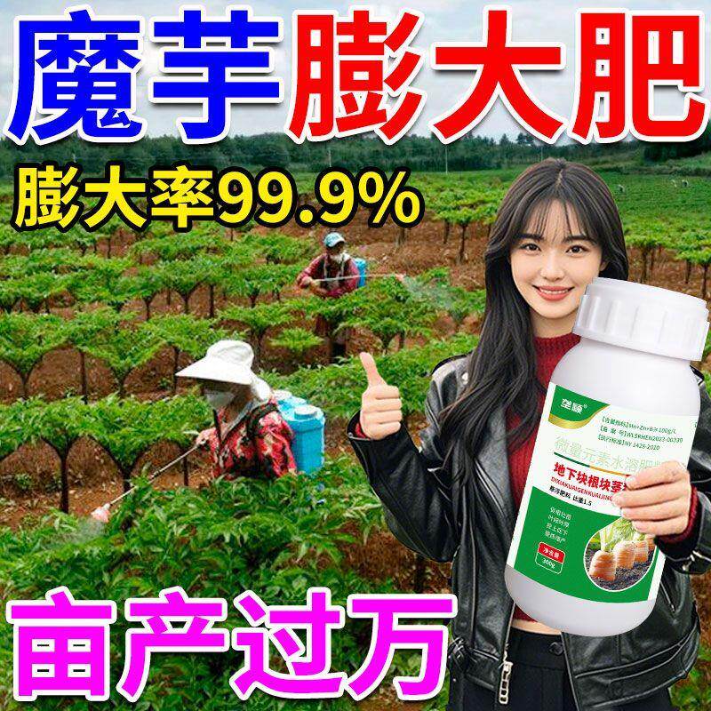 魔芋专用提苗壮苗抗根腐肥