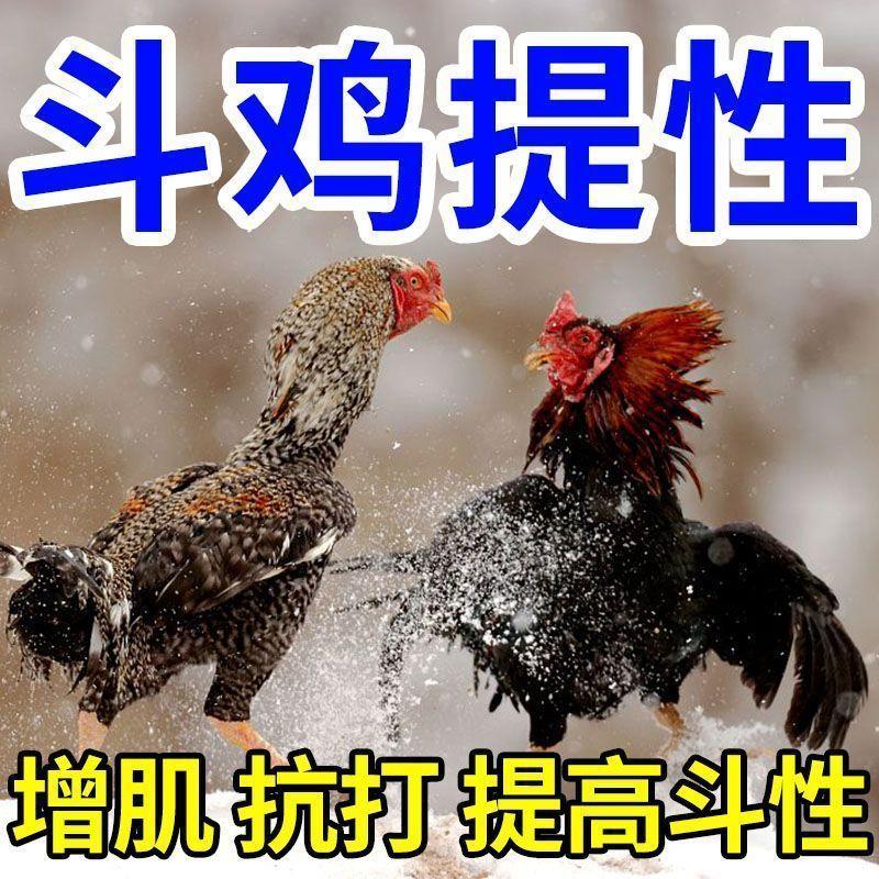 斗鸡增肌抗好斗饲料优选