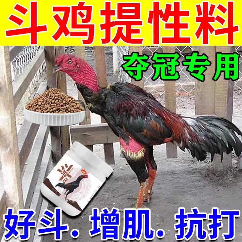 斗鸡专用饲料高蛋白强筋骨