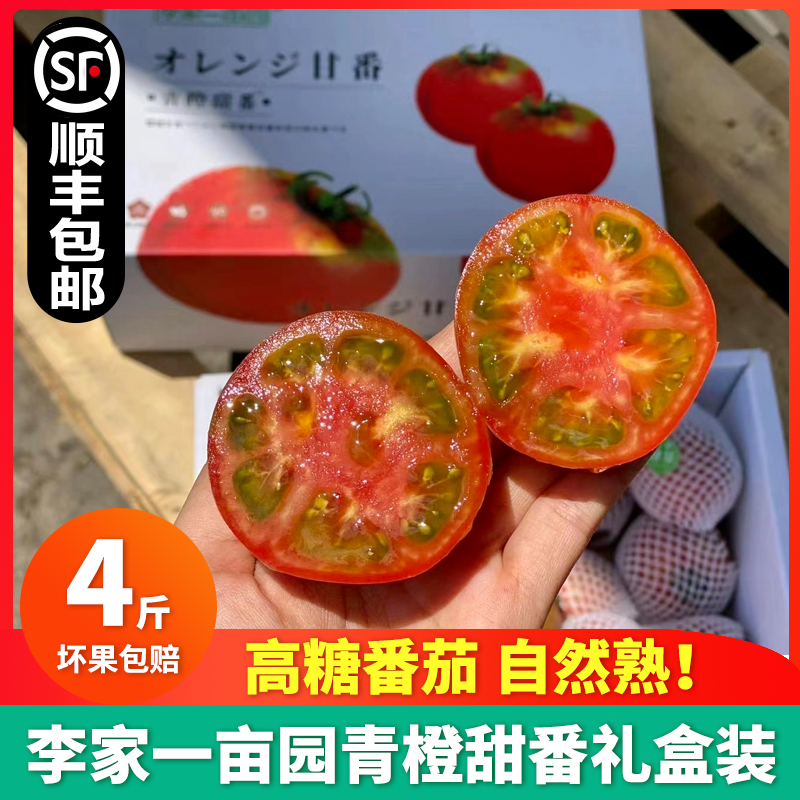 李家一亩园青橙甜番4斤沙瓤番茄