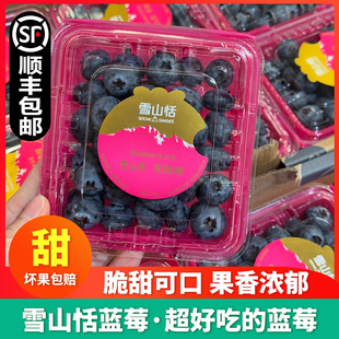 顺丰包邮】云南嫁沃雪山恬蓝莓大果鲜果新鲜水果脆甜多汁孕妇水果