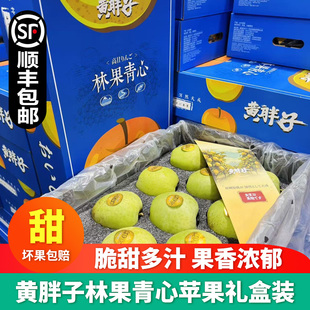 顺丰包邮】黄胖子林果青心王林苹果5斤礼盒装青苹果新鲜孕妇水果