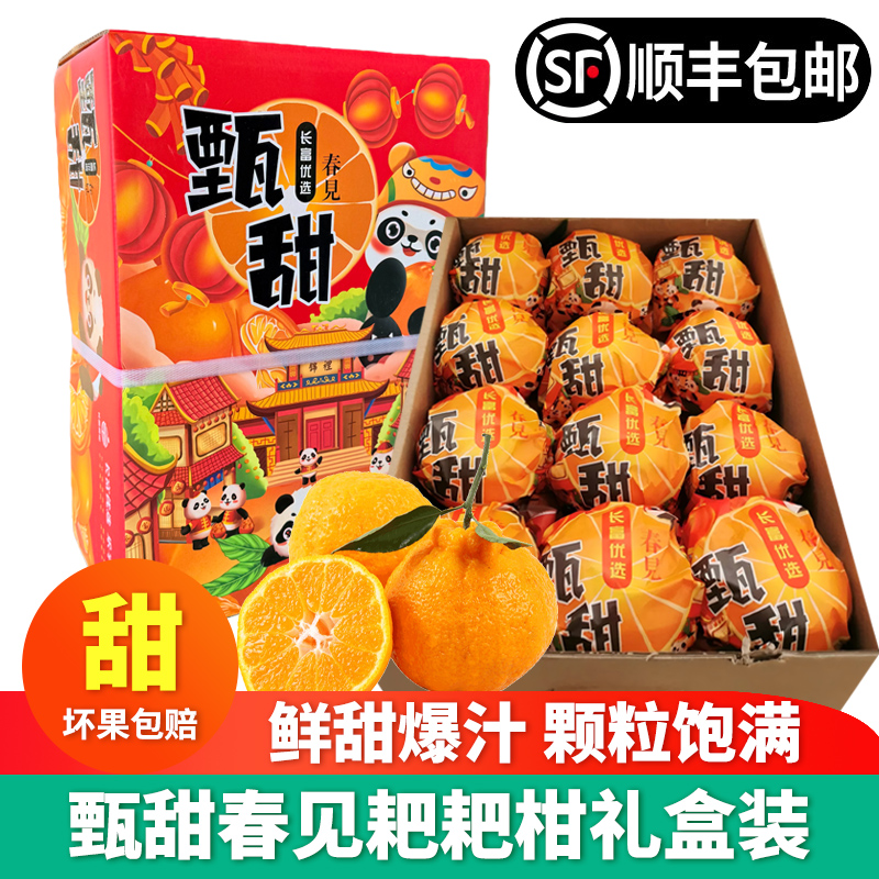 甄甜春见耙耙柑7.5斤礼盒装纯甜丑桔橘子新鲜当季水果顺丰包邮