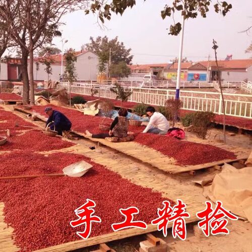枣小香甜，耐久煮不破皮