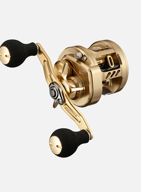 DAIWA达亿瓦21款 BASARA 鼓轮达瓦全金属进口路亚海钓船钓鱼线轮