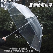 高颜值透明伞自动长柄的雨伞女生家用加大加厚加固大号可爱高级感