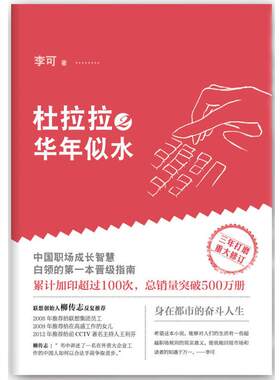 杜拉拉2 华年似水