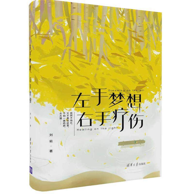 【正版书】 左手梦想，右手疗伤 刘岩 清华大学出版社