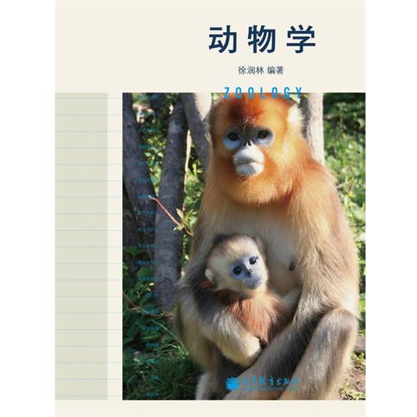 【正版书】 动物学 徐润林 高等教育出版社