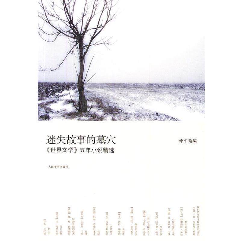 【正版书】 迷失故事的墓穴 五年小说精选》 仲平 人民文学出版社