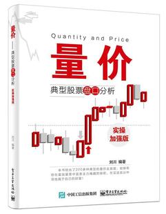 正版 实操加强版 现货 典型股票盘口分析 刘川 量价