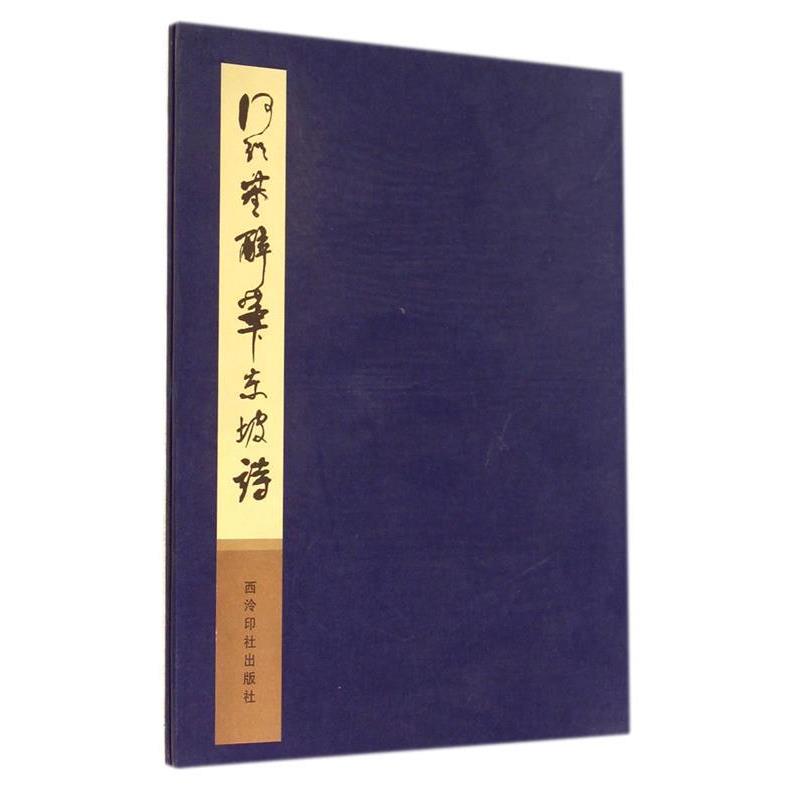 【正版书】 大江东去浪淘尽---在诗文中找寻东坡一生的足迹 吕宁　著 北京工业大学出版社