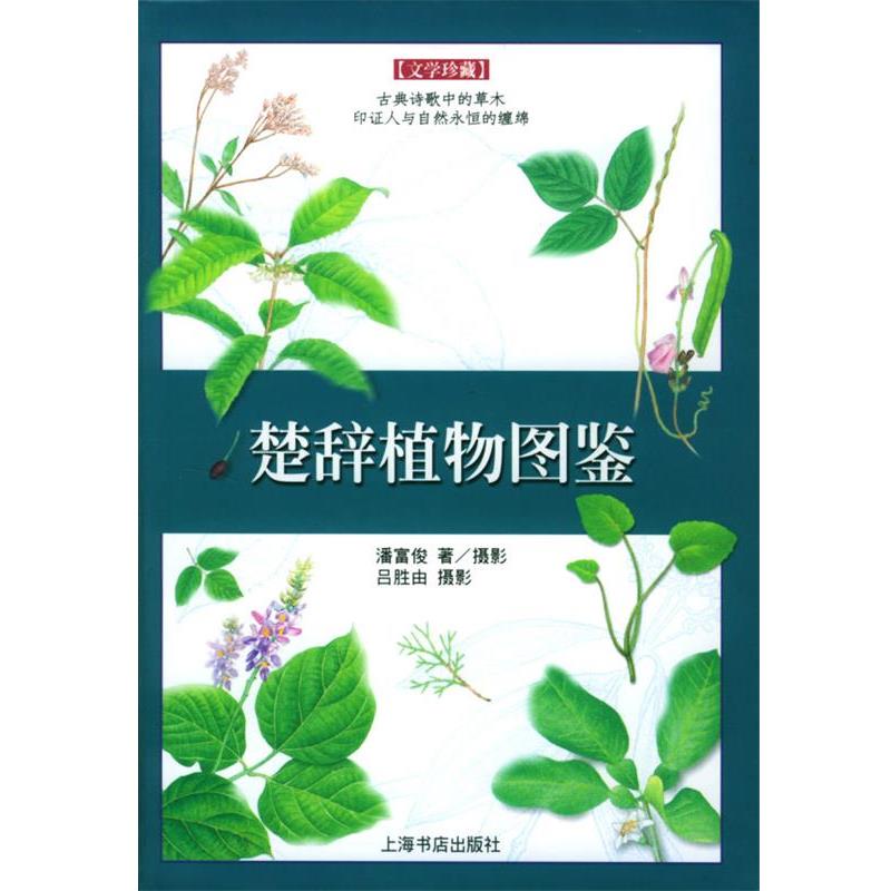 【正版书】 楚辞植物图鉴—文学珍藏 潘富俊 著 上海书店出版社