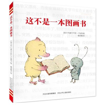 【正版书】 这不是一本图画书 塞尔乔欧卢兹耶 ,梅思繁 河北少年儿童出版社