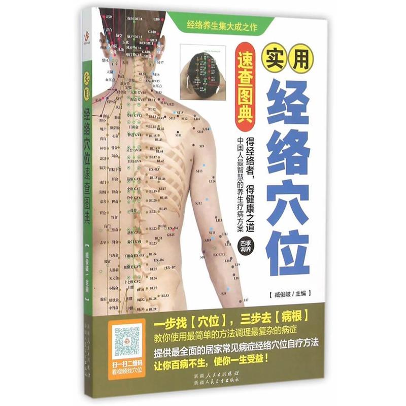 【正版书】 实用经络穴位速查图典 臧俊岐 主编 中国轻工业出版社