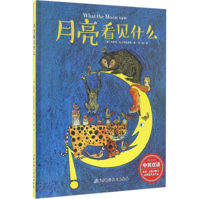【正版书】 月亮看见什么 (英)布莱恩瓦尔德史密斯 著 闫娉 译 北京科学技术出版社