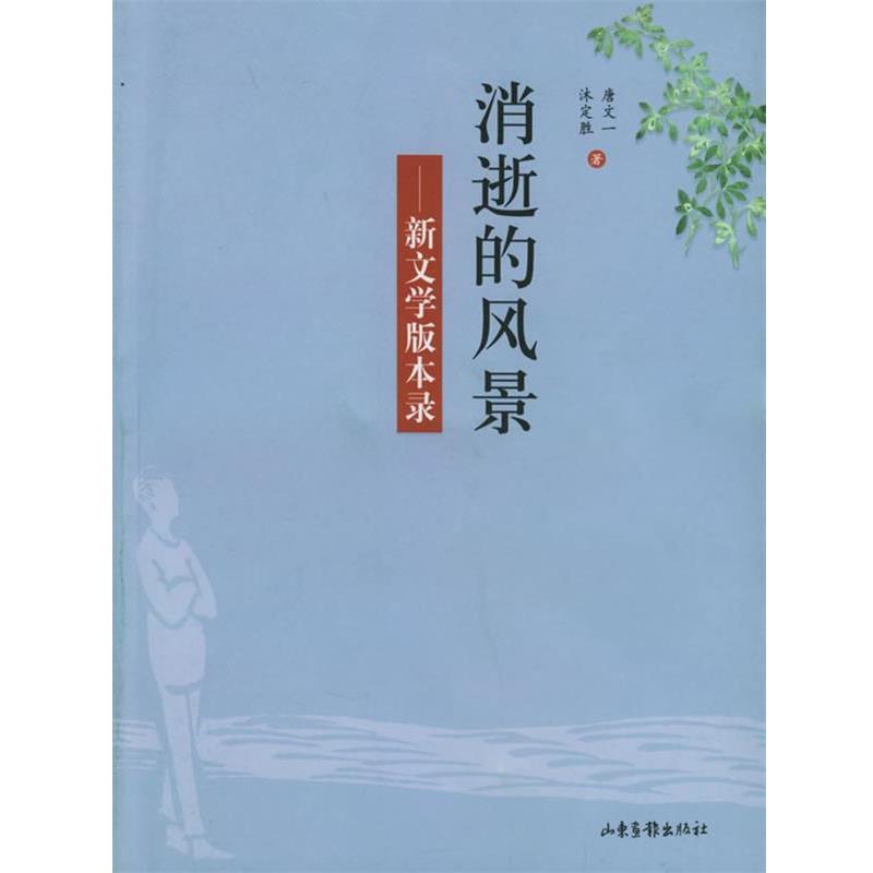 【正版书】 消逝的风景 唐文一,沐定胜 著 山东画报出版社