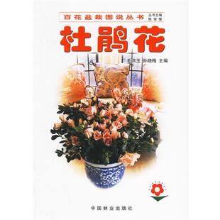 【正版书】 -杜鹃花 毛洪玉,孙晓梅 主编 中国林业出版社