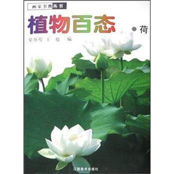 【正版书】 植物百态·荷 梁燕莺,王旭 编 江西美术出版社