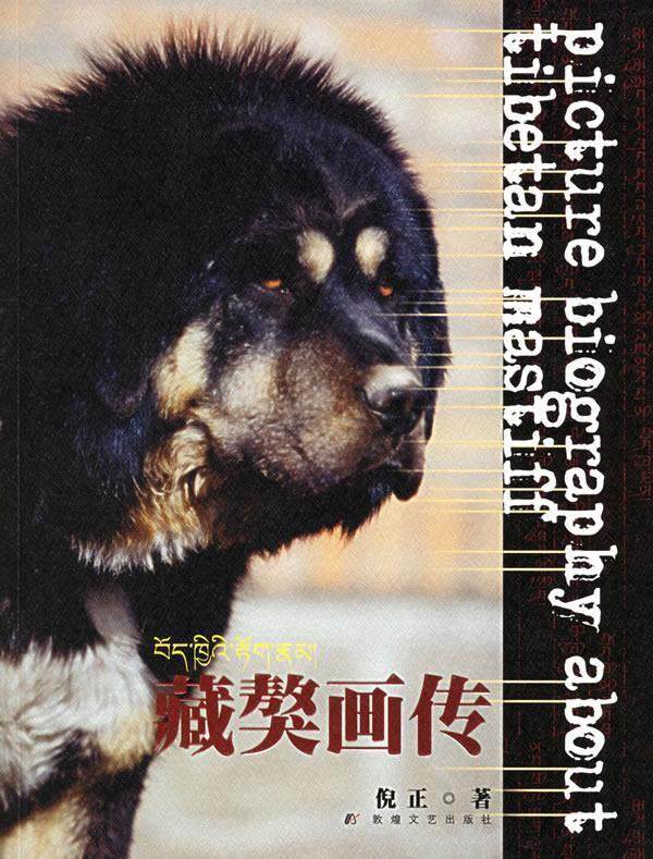 【正版现货】藏獒画传 倪正