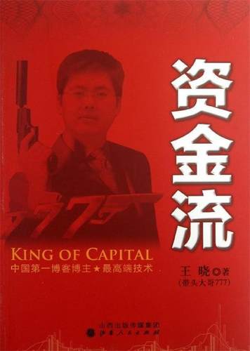 【正版现货】资金流 王晓