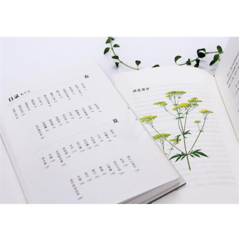 【正版书】 杂草记 柳宗民 文,三品隆司 绘 四川文艺出版社