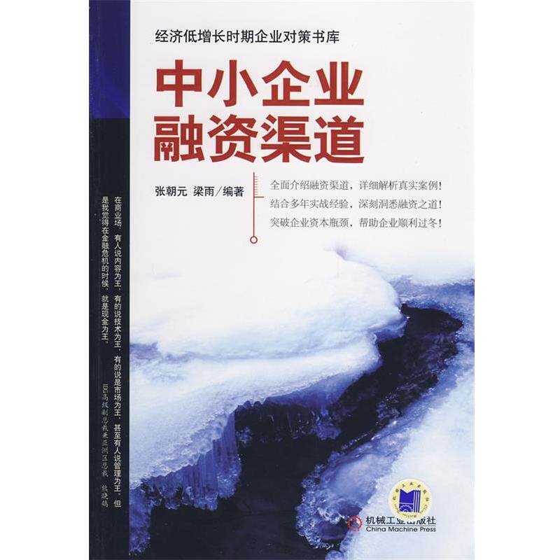 【正版书】 中小企业融资渠道 张朝元,梁雨 编著 机械工业出版社