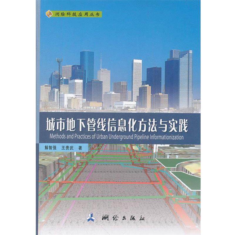 【正版书】 城市地下管线信息化方法与实践 解智强,王贵武 测绘出版社