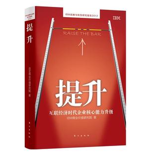 【正版书】 提升:互联经济时代企业核心能力升级 IBM企业咨询服务部 著 东方出版社