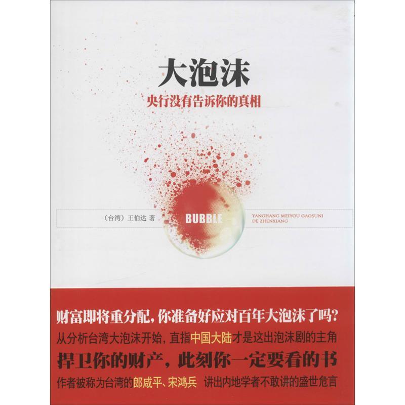 【正版书】 大泡沫 (台湾)王伯达 著 南方出版社