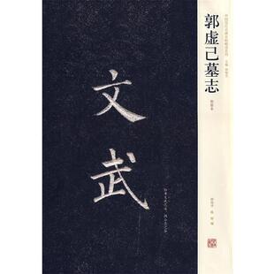 设计师起点 动画设计 河南美术出版 正版 社 著 书 肖楠 白雪