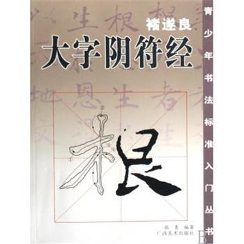 【正版书】 高等学校高职高专艺术设计类专业教学指导委员会“十二五”规划教材:图案与装饰基础 李文跃,刘莎 著,林家阳 编 中国出