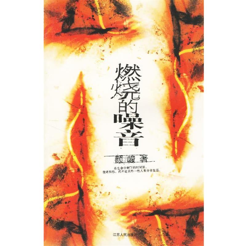 【正版书】 燃烧的噪音 颜峻 著 江苏人民出版社