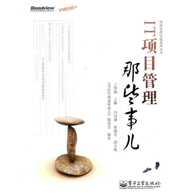 【正版书】 IT项目管理那些事儿 王保强 电子工业出版社