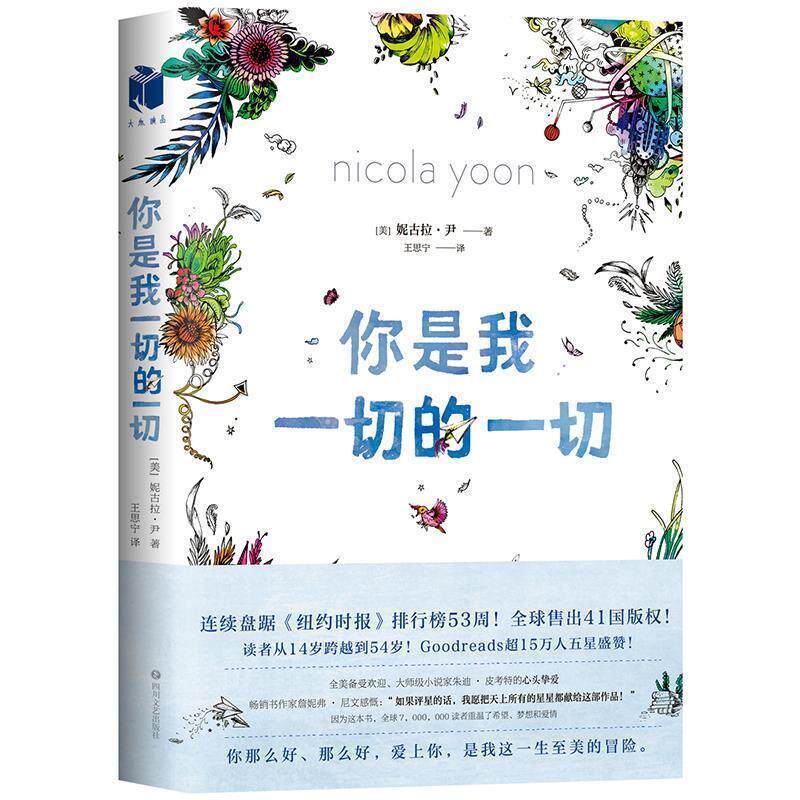 【正版书】 你是我一切的一切 (美)尼古拉·尹 四川文艺出版社