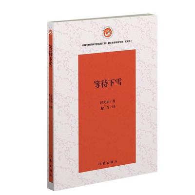 【正版书】 等待下雪 龙仁青 作家出版社
