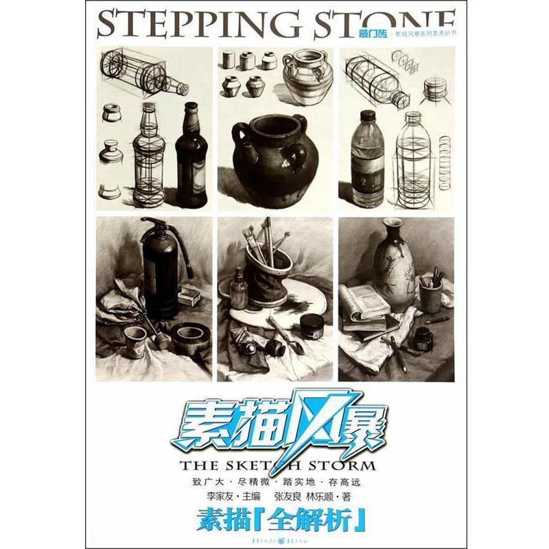 【正版书】 素描-素描风暴-全解析 张友良 等著 重庆出版社