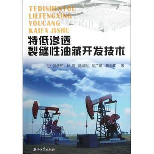 【正版书】 特低渗透裂缝性油藏开发技术 孙庆和 等 著 石油工业出版社
