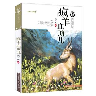 【正版书】 疯羊血顶儿 沈石溪 晨光出版社