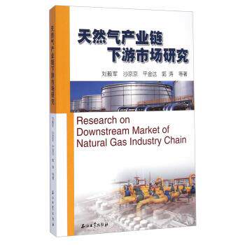 【正版书】 天然气产业链下游市场研究 刘毅军,沙京京,平金达 等 著 石油工业出版社