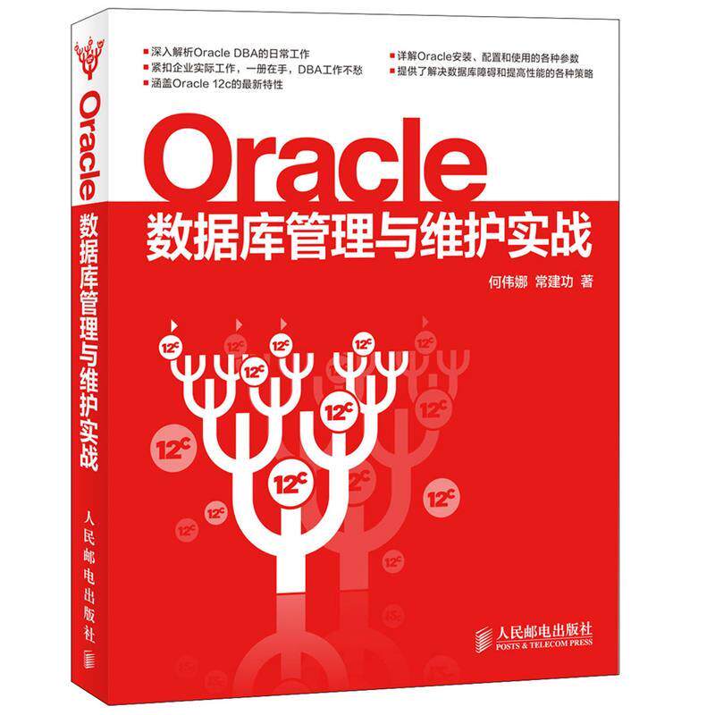 【正版现货】Oracle数据库管理与维护实战 何伟娜、常建功
