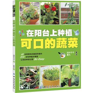 【正版书】 在阳台上种植可口的蔬菜 (日)田中宁子 中国纺织出版社