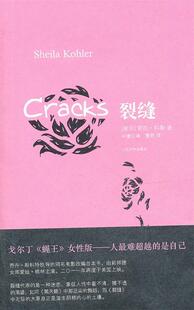 【正版现货】裂缝 [南非]谢拉·科勒；