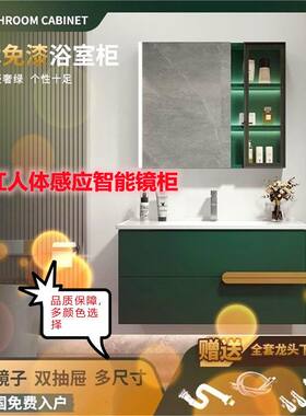 2024新品定制北欧复古浴室柜洗脸盆柜组合墨绿色挂墙式智能浴柜卫